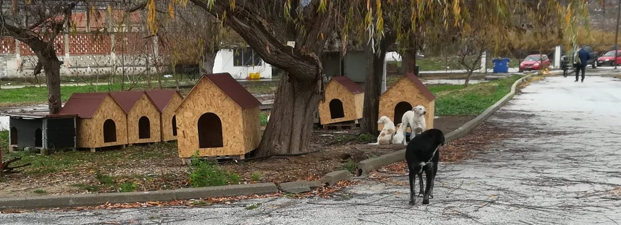 Δημοτικό Καταφύγιο